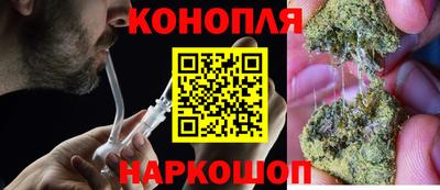 шишки Новокубанск